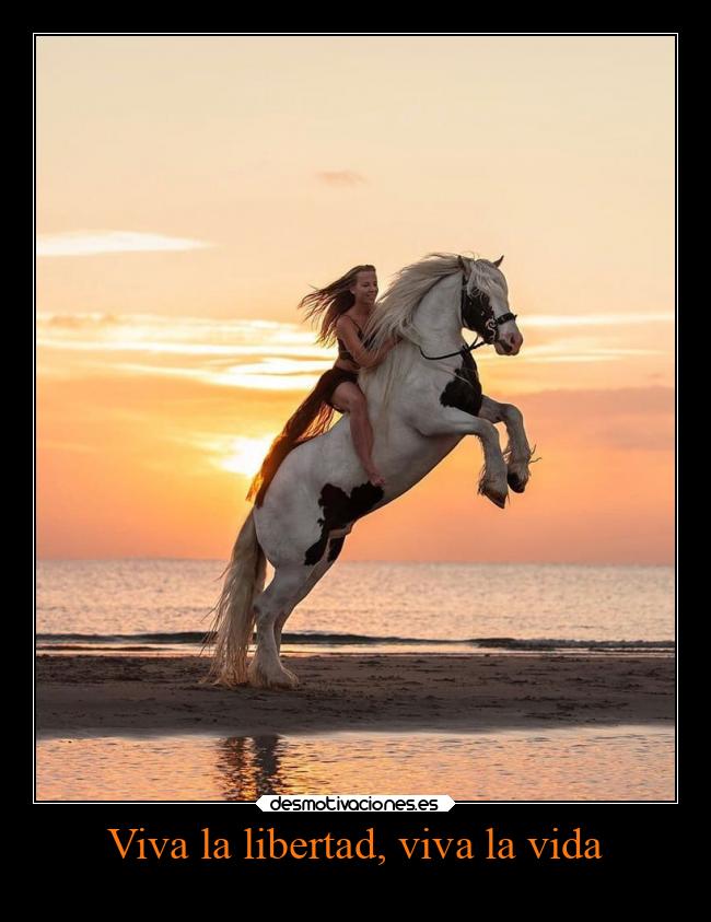 carteles libertad vida vida libertad alegria desmotivaciones