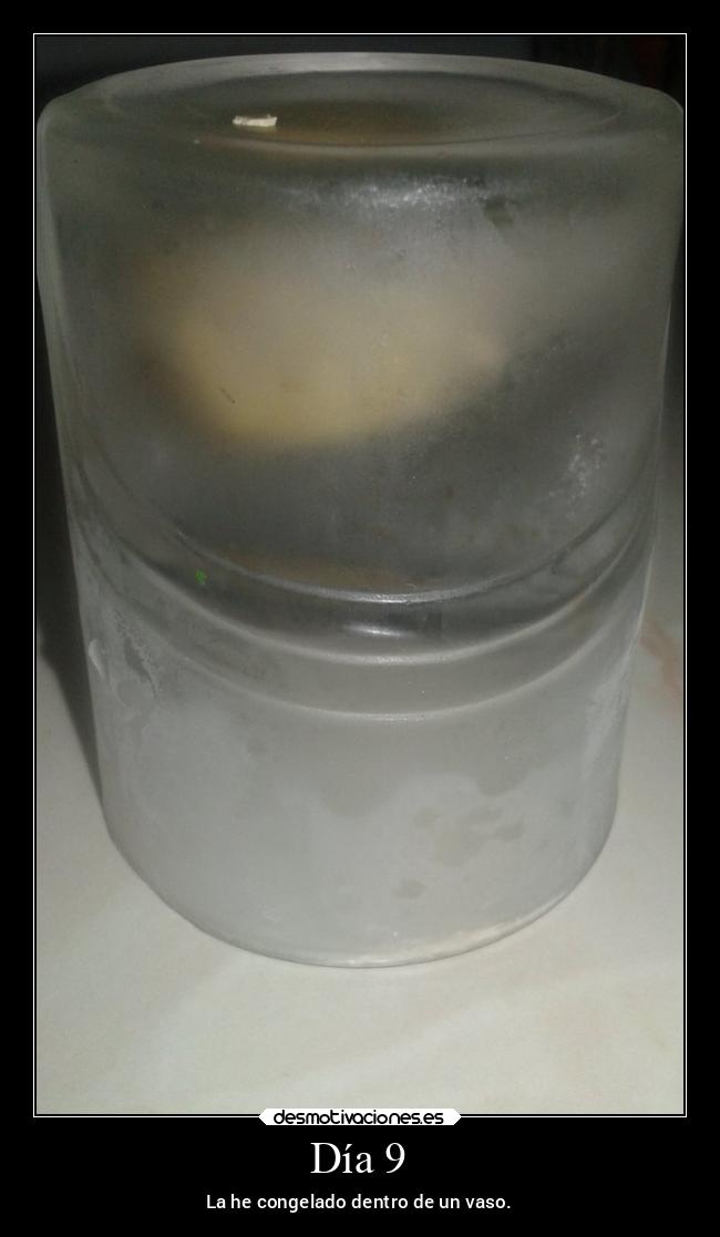 Día 9 - La he congelado dentro de un vaso.