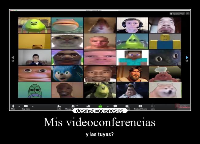 Mis videoconferencias - y las tuyas?