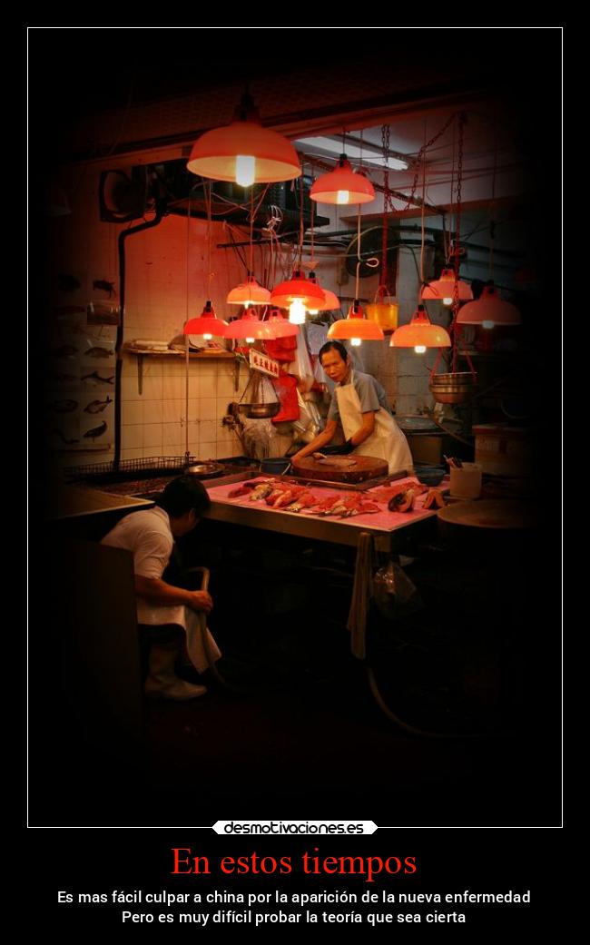 carteles pensamientos china culpar enfermedad virus dificil teorias desmotivaciones