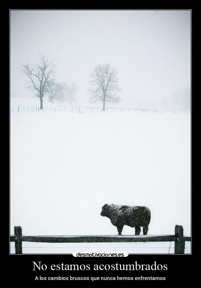 No estamos acostumbrados -