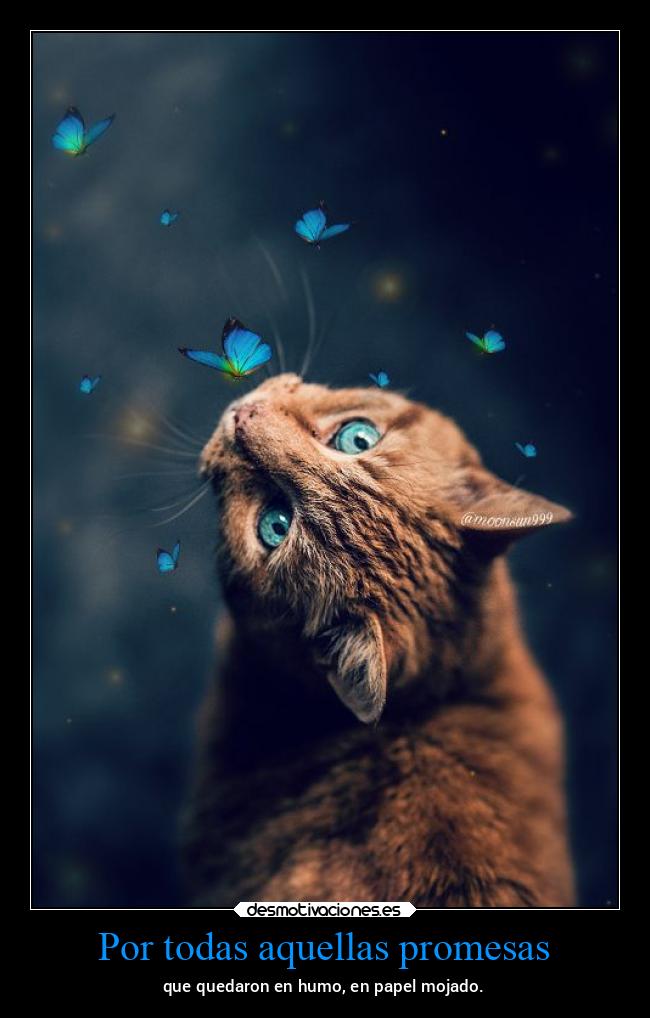 Por todas aquellas promesas -