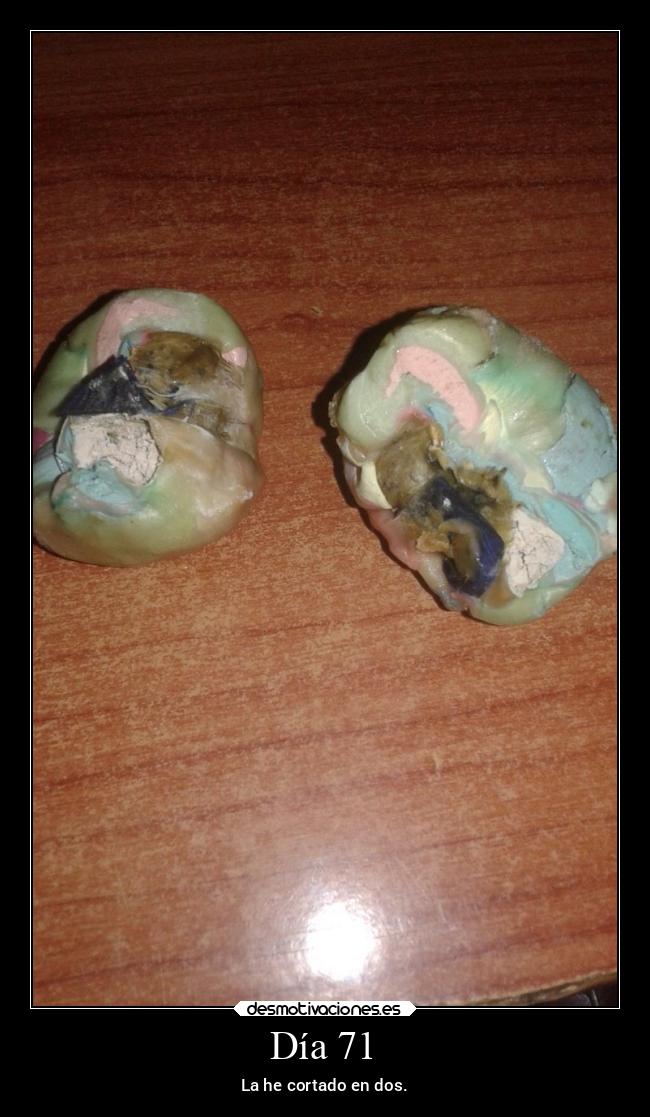 Día 71 - La he cortado en dos.