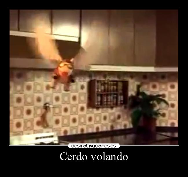 carteles tonto bolando desmotivaciones