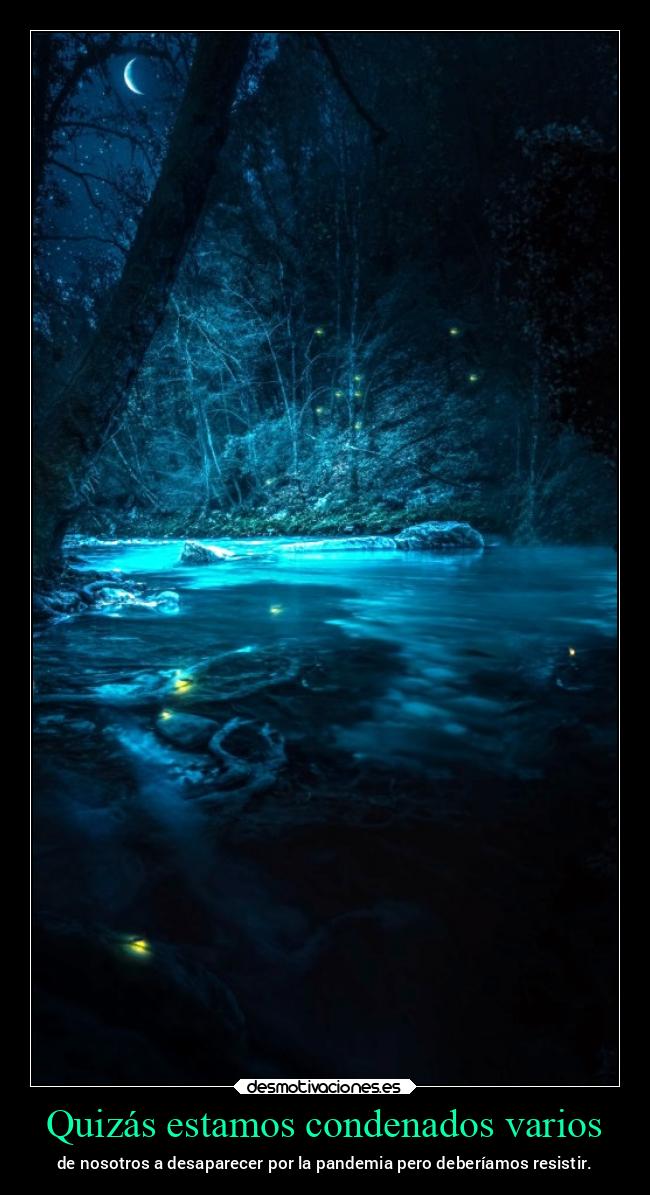 Quizás estamos condenados varios - de nosotros a desaparecer por la pandemia pero deberíamos resistir.