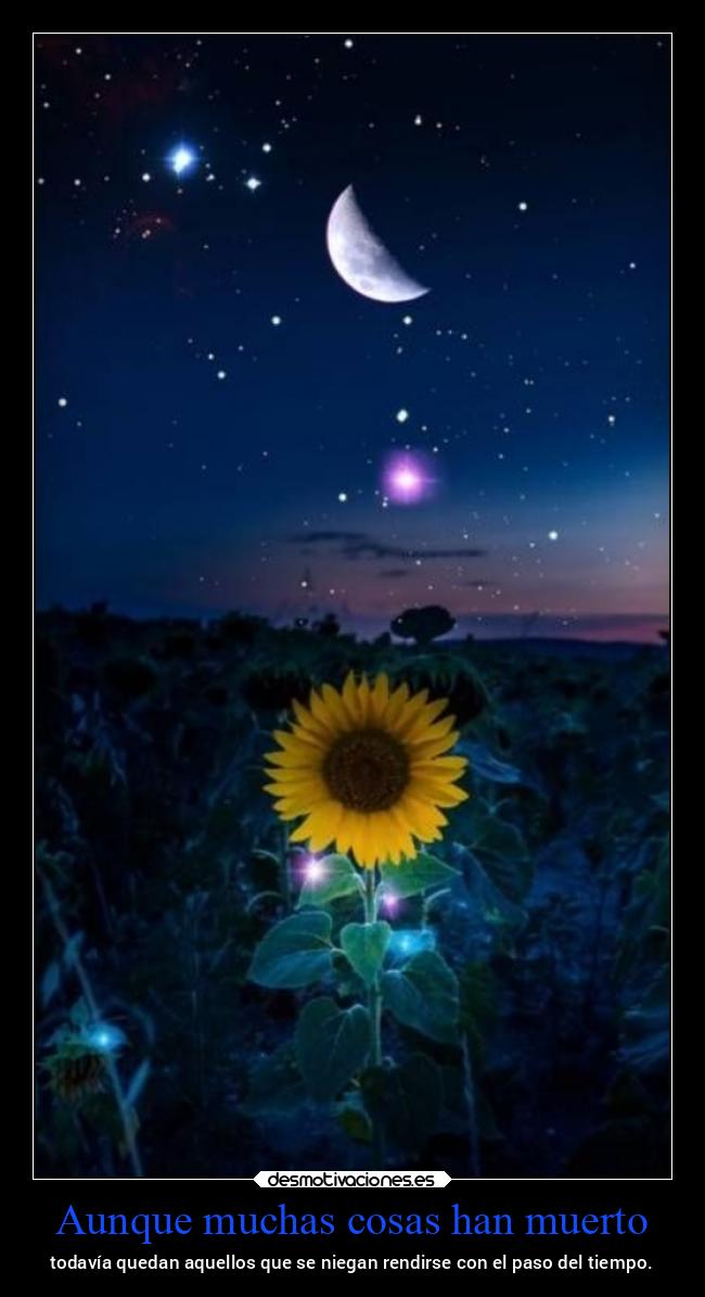 Aunque muchas cosas han muerto - todavía quedan aquellos que se niegan rendirse con el paso del tiempo.