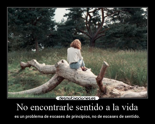 No encontrarle sentido a la vida - es un problema de escases de principios, no de escases de sentido.