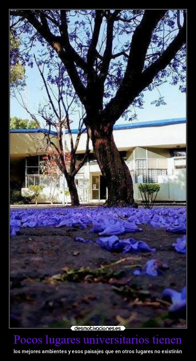 carteles vida ltsc lrssg alex vazquez999 victoryanddeath victory and death fesc cuautitlan campo4 nostalgia desmotivaciones