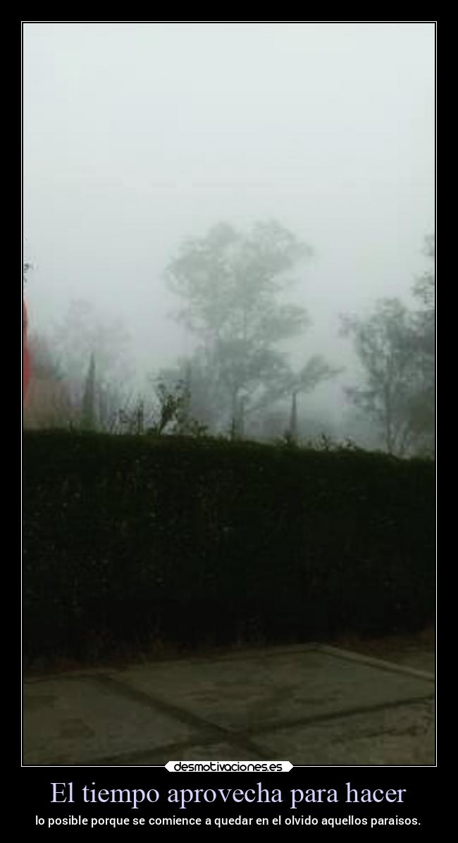 carteles vida ltsc lrssg alex vazquez999 victoryanddeath victory and death fesc cuautitlan campo4 nostalgia desmotivaciones