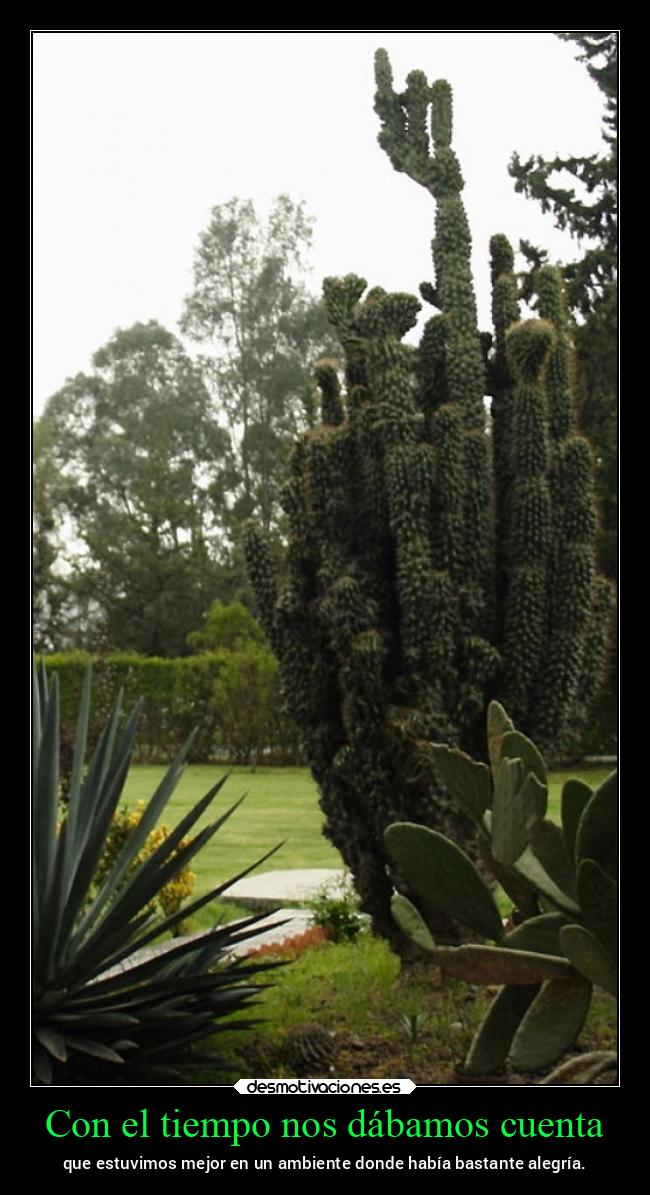 carteles vida ltsc lrssg alex vazquez999 victoryanddeath victory and death fesc cuautitlan campo4 nostalgia desmotivaciones