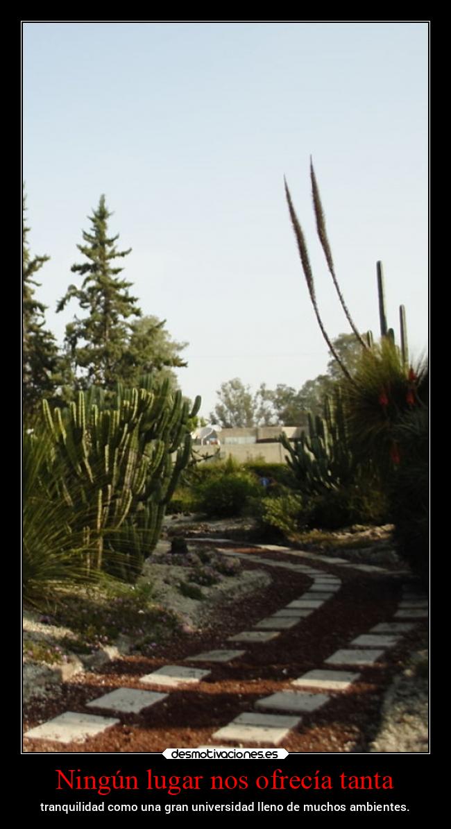 carteles vida ltsc lrssg alex vazquez999 victoryanddeath victory and death fesc cuautitlan campo4 nostalgia desmotivaciones