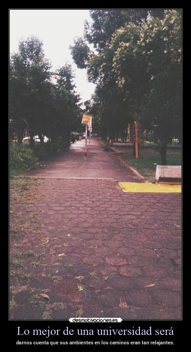 carteles vida ltsc lrssg alex vazquez999 victoryanddeath victory and death fesc cuautitlan campo4 nostalgia desmotivaciones