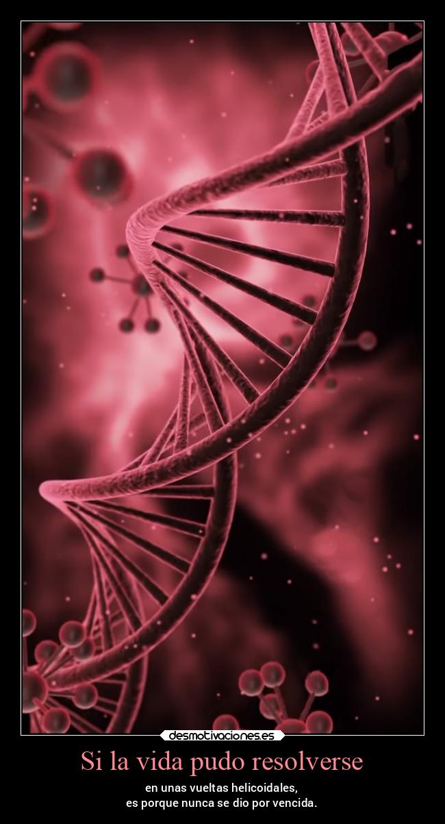 Si la vida pudo resolverse -