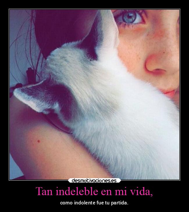 Tan indeleble en mi vida, - como indolente fue tu partida.