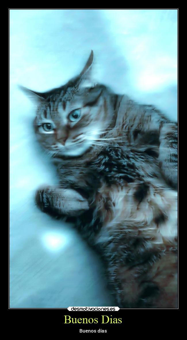Buenos Dias - Buenos días
