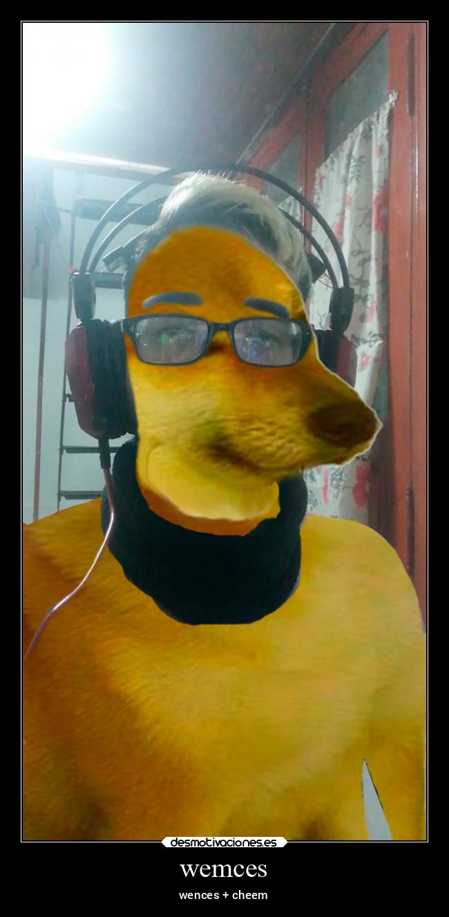 wemces - wences + cheem