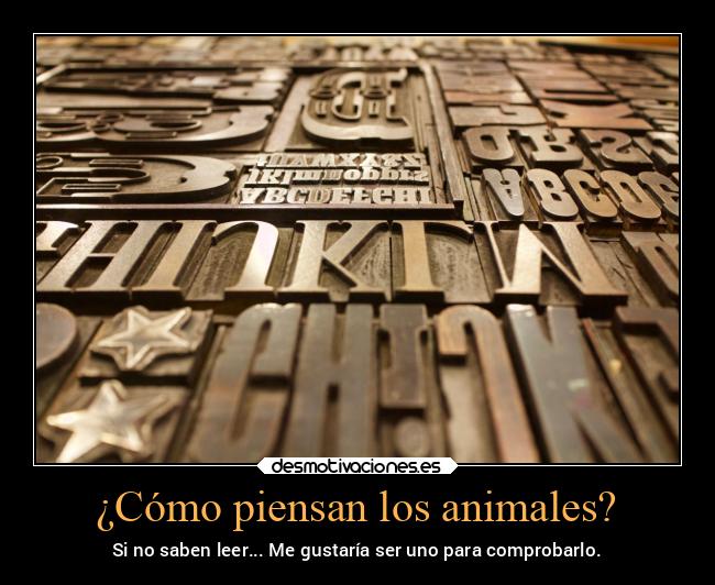 carteles animales idioma animales pensar leer escribir desmotivaciones