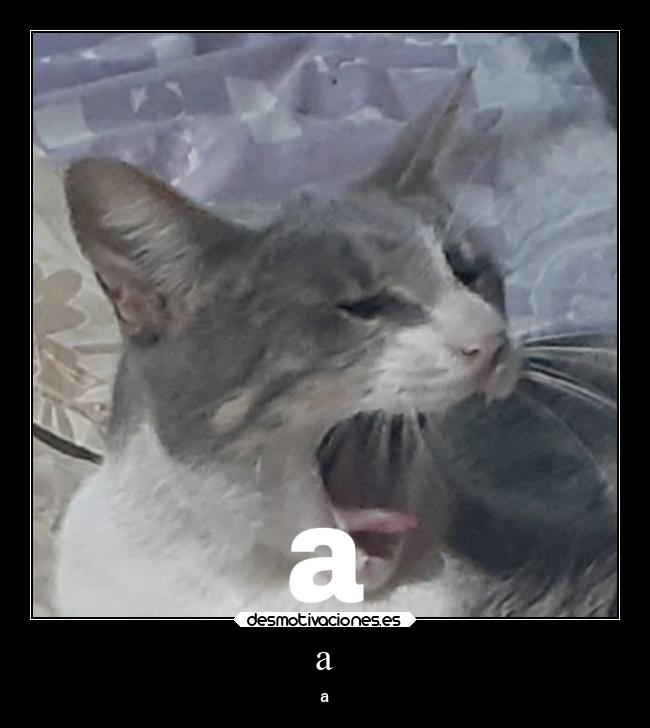 carteles animales desmotivaciones