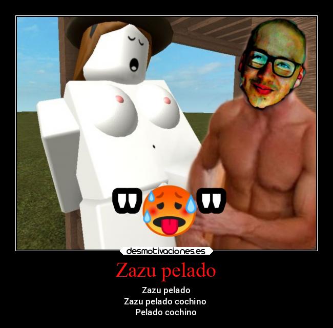 Zazu pelado - 