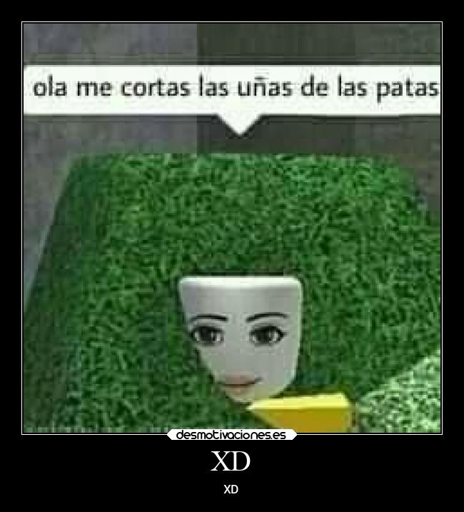 XD - XD