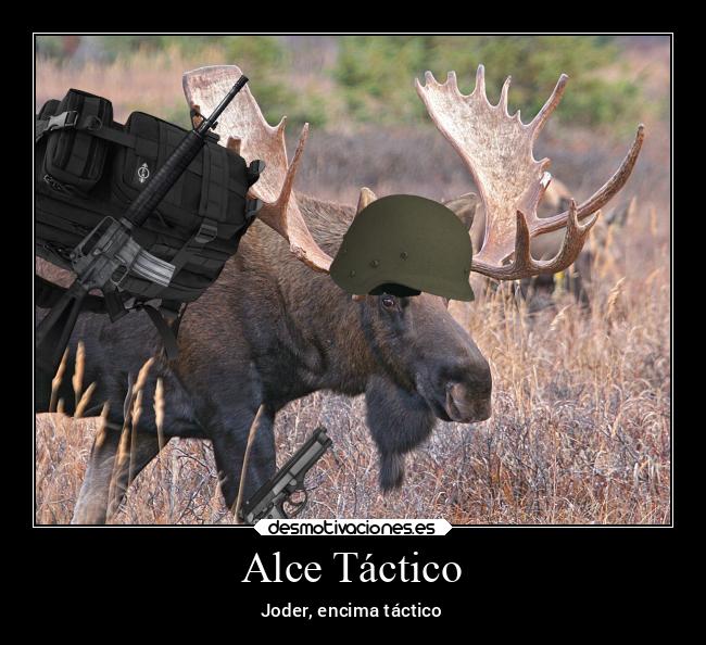 Alce Táctico -