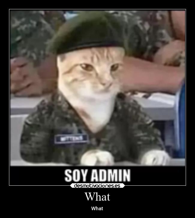 carteles confianza desmotivaciones