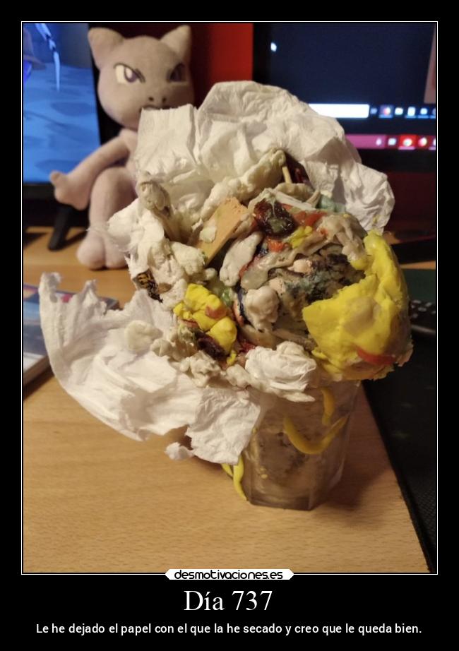 Día 737 - Le he dejado el papel con el que la he secado y creo que le queda bien.