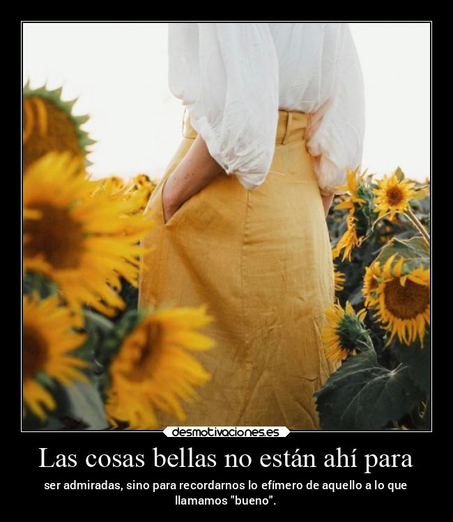 Las cosas bellas no están ahí para - ser admiradas, sino para recordarnos lo efímero de aquello a lo que
llamamos bueno.