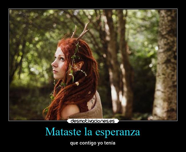 carteles esperanza ausencia animales imaginacion ideas alicea legionra desmotivaciones