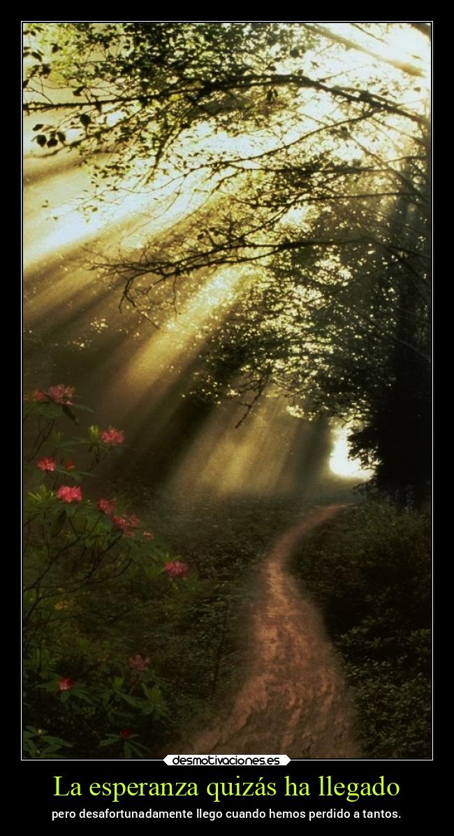 La esperanza quizás ha llegado - pero desafortunadamente llego cuando hemos perdido a tantos.