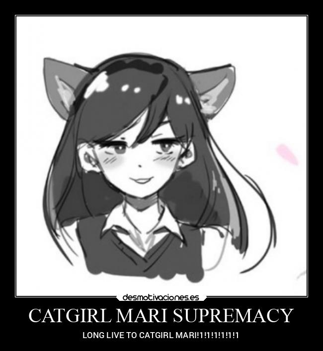 carteles gatos graciosas desmotivaciones