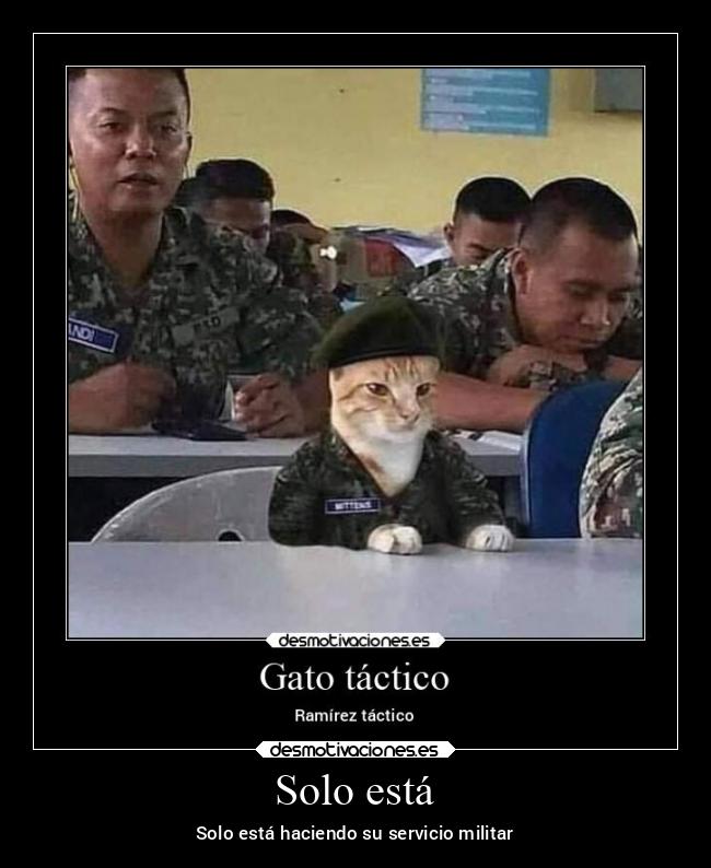 Solo está - Solo está haciendo su servicio militar