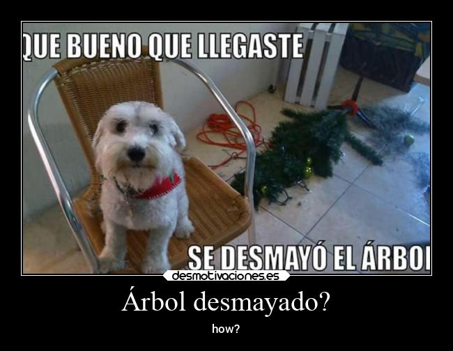 carteles memes desmotivaciones