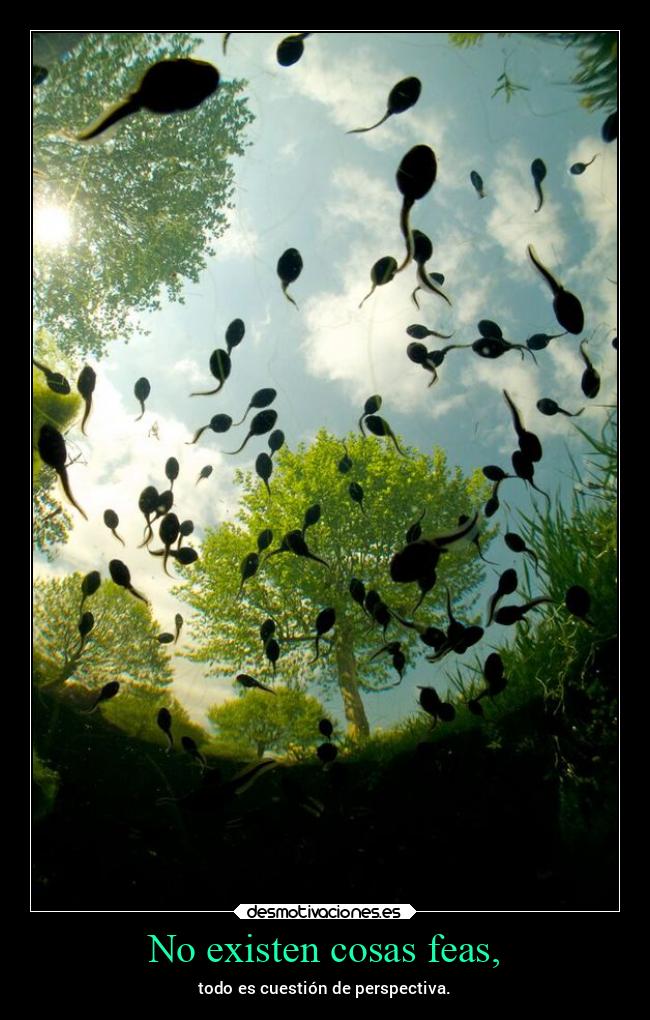 No existen cosas feas, - todo es cuestión de perspectiva.