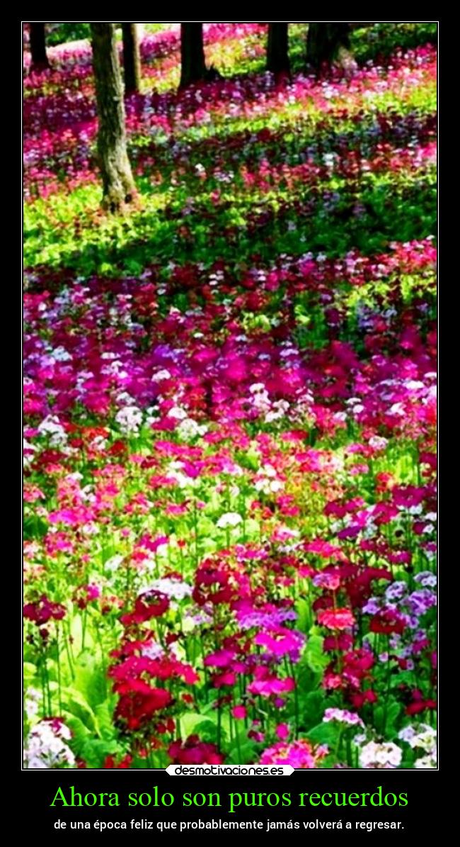 Ahora solo son puros recuerdos - de una época feliz que probablemente jamás volverá a regresar.