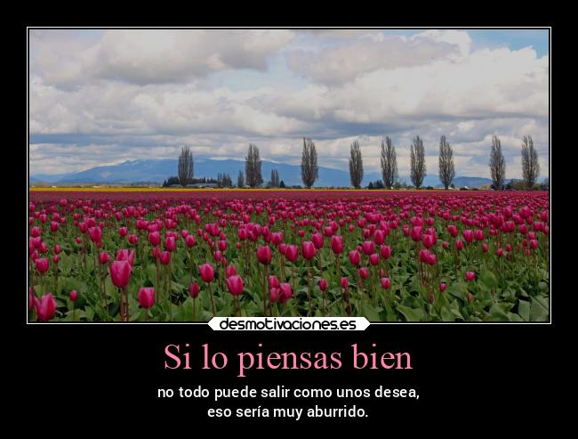 carteles silencio desmotivaciones