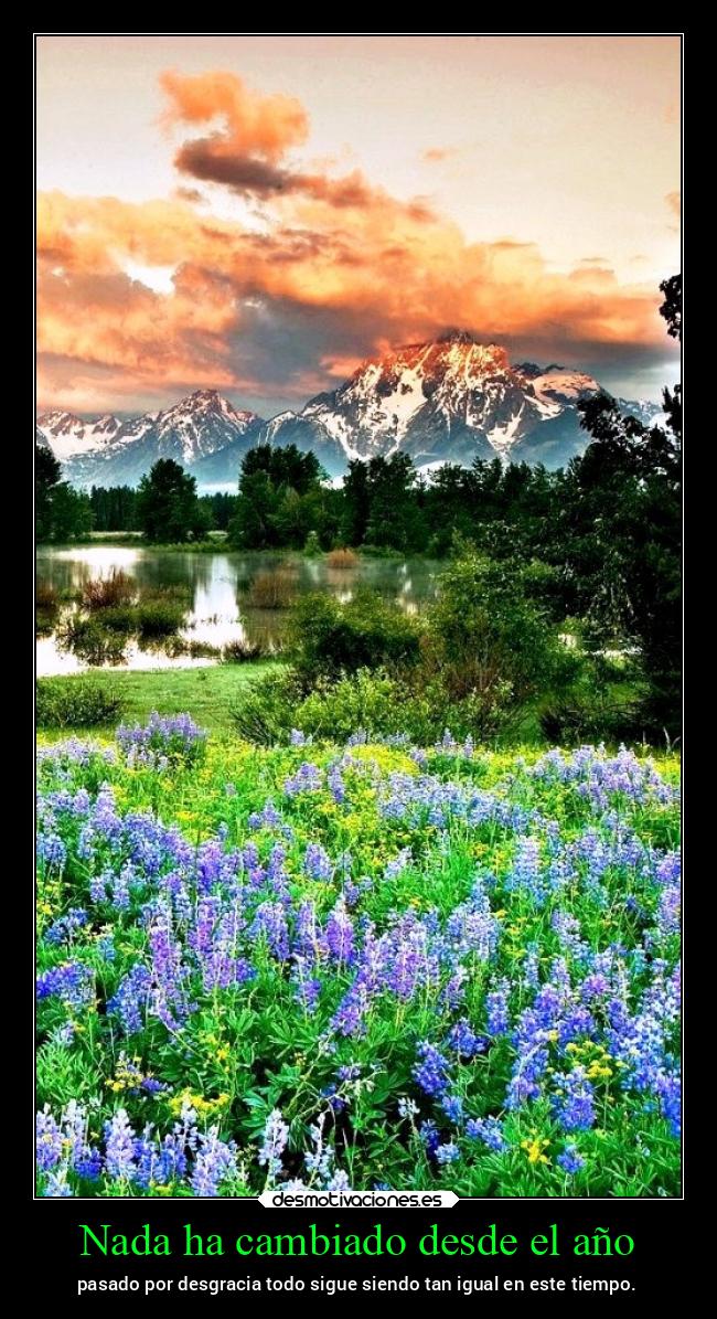 Nada ha cambiado desde el año - pasado por desgracia todo sigue siendo tan igual en este tiempo.