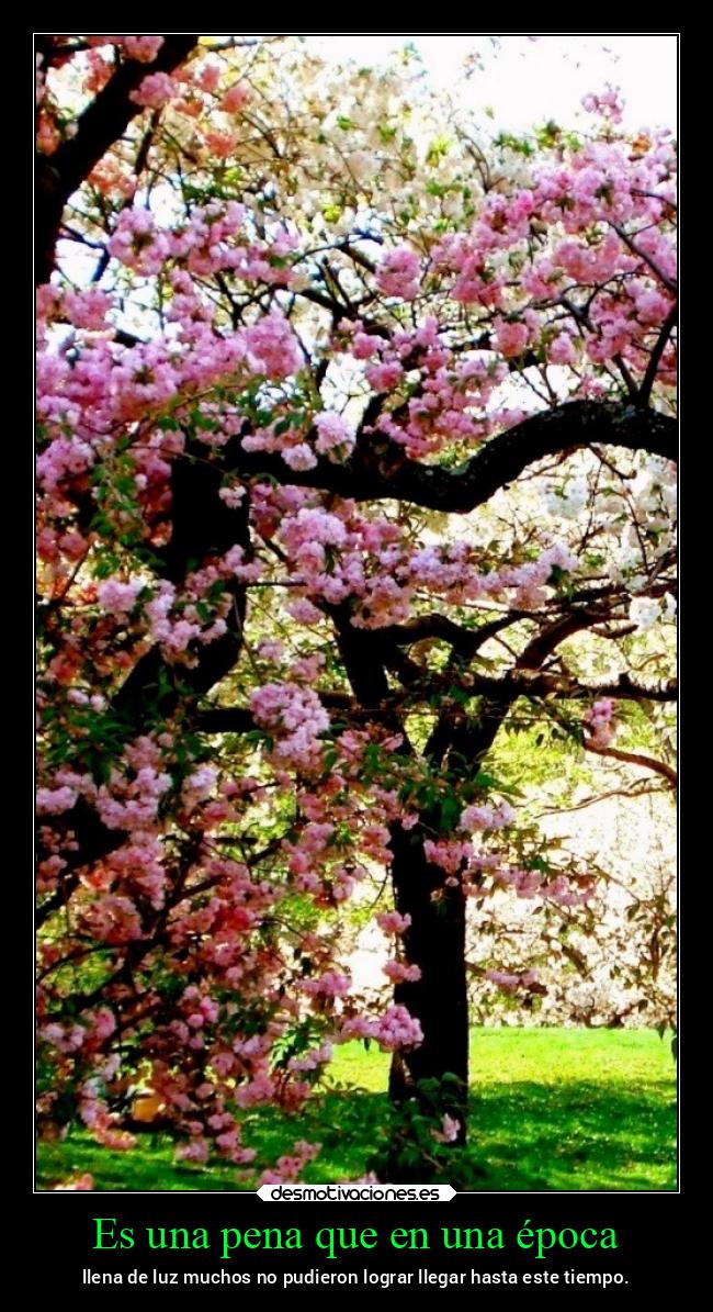 Es una pena que en una época - llena de luz muchos no pudieron lograr llegar hasta este tiempo.