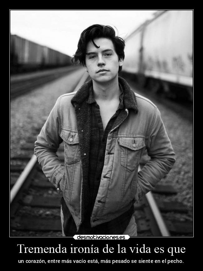 carteles vida desmotivaciones corazon tristeza iamtxt teamdelasesino desmotivaciones