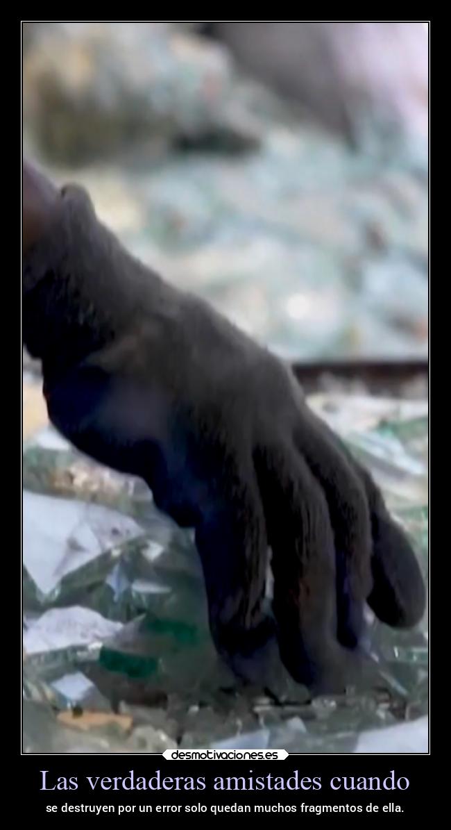 carteles vida ltsc lrssg alex vazquez999 victoryanddeath victory and death hina5654 daniela cordova desmotivaciones