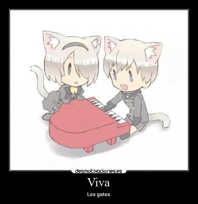 Viva - Los gatos
