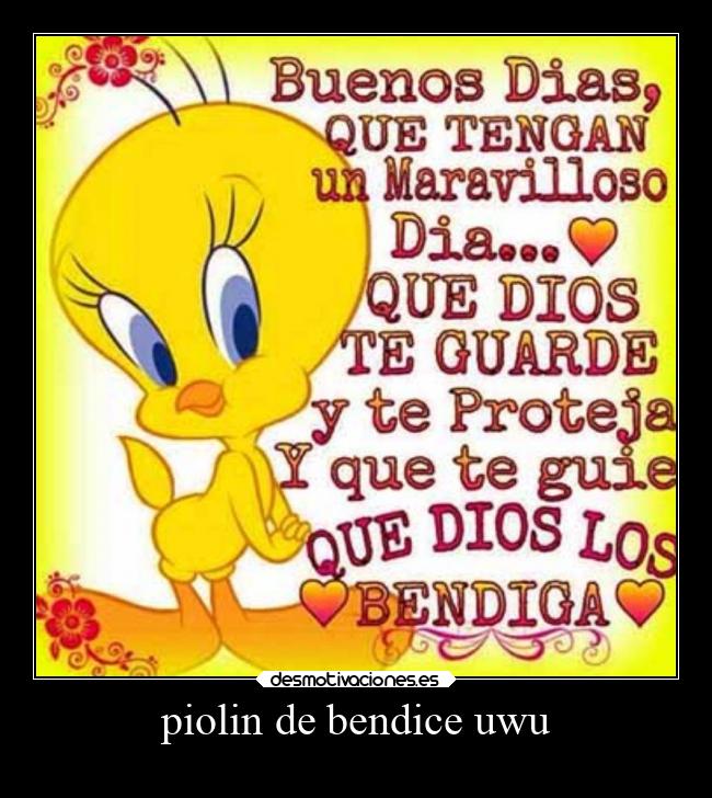 piolin de bendice uwu -