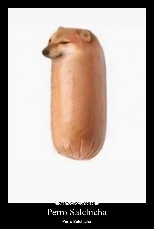 Perro Salchicha - Perro Salchicha