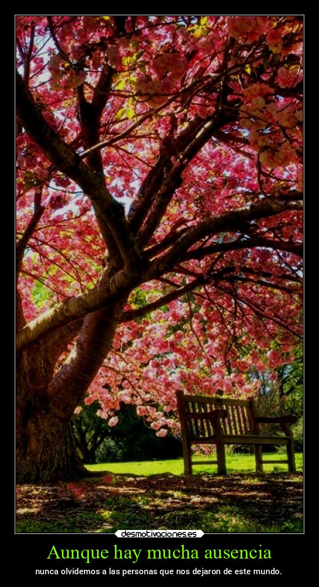 Aunque hay mucha ausencia - nunca olvidemos a las personas que nos dejaron de este mundo.