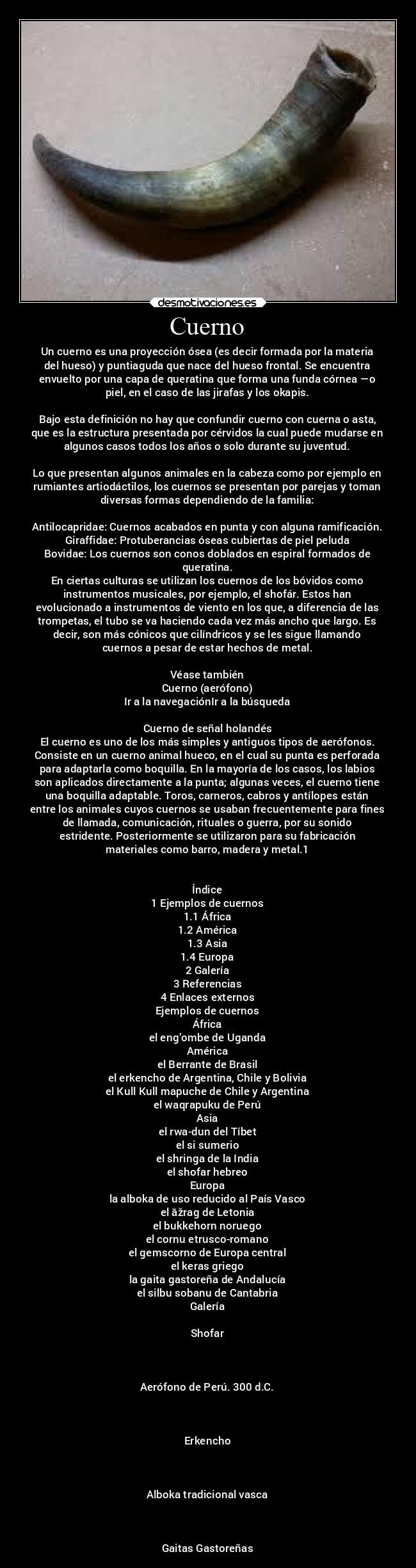 Cuerno - Un cuerno es una proyección ósea (es decir formada por la materia
del hueso) y puntiaguda que nace del hueso frontal. Se encuentra
envuelto por una capa de queratina que forma una funda córnea —o
piel, en el caso de las jirafas y los okapis.
Bajo esta definición no hay que confundir cuerno con cuerna o asta,
que es la estructura presentada por cérvidos la cual puede mudarse en
algunos casos todos los años o solo durante su juventud.
Lo que presentan algunos animales en la cabeza como por ejemplo en
rumiantes artiodáctilos, los cuernos se presentan por parejas y toman
diversas formas dependiendo de la familia:
Antilocapridae: Cuernos acabados en punta y con alguna ramificación.
Giraffidae: Protuberancias óseas cubiertas de piel peluda
Bovidae: Los cuernos son conos doblados en espiral formados de
queratina.
En ciertas culturas se utilizan los cuernos de los bóvidos como
instrumentos musicales, por ejemplo, el shofár. Estos han
evolucionado a instrumentos de viento en los que, a diferencia de las
trompetas, el tubo se va haciendo cada vez más ancho que largo. Es
decir, son más cónicos que cilíndricos y se les sigue llamando
cuernos a pesar de estar hechos de metal.
Véase también
Cuerno (aerófono)
Ir a la navegaciónIr a la búsqueda
Cuerno de señal holandés
El cuerno es uno de los más simples y antiguos tipos de aerófonos.
Consiste en un cuerno animal hueco, en el cual su punta es perforada
para adaptarla como boquilla. En la mayoría de los casos, los labios
son aplicados directamente a la punta; algunas veces, el cuerno tiene
una boquilla adaptable. Toros, carneros, cabros y antílopes están
entre los animales cuyos cuernos se usaban frecuentemente para fines
de llamada, comunicación, rituales o guerra, por su sonido
estridente. Posteriormente se utilizaron para su fabricación
materiales como barro, madera y metal.1
Índice
1 Ejemplos de cuernos
1.1 África
1.2 América
1.3 Asia
1.4 Europa
2 Galería
3 Referencias
4 Enlaces externos
Ejemplos de cuernos
África
el eng’ombe de Uganda
América
el Berrante de Brasil
el erkencho de Argentina, Chile y Bolivia
el Kull Kull mapuche de Chile y Argentina
el waqrapuku de Perú
Asia
el rwa-dun del Tíbet
el si sumerio
el shringa de la India
el shofar hebreo
Europa
la alboka de uso reducido al País Vasco
el āžrag de Letonia
el bukkehorn noruego
el cornu etrusco-romano
el gemscorno de Europa central
el keras griego
la gaita gastoreña de Andalucía
el silbu sobanu de Cantabria
Galería
Shofar
Aerófono de Perú. 300 d.C.
Erkencho
Alboka tradicional vasca
Gaitas Gastoreñas
