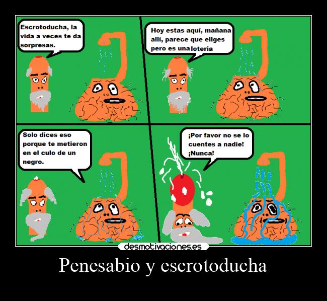 Penesabio y escrotoducha -