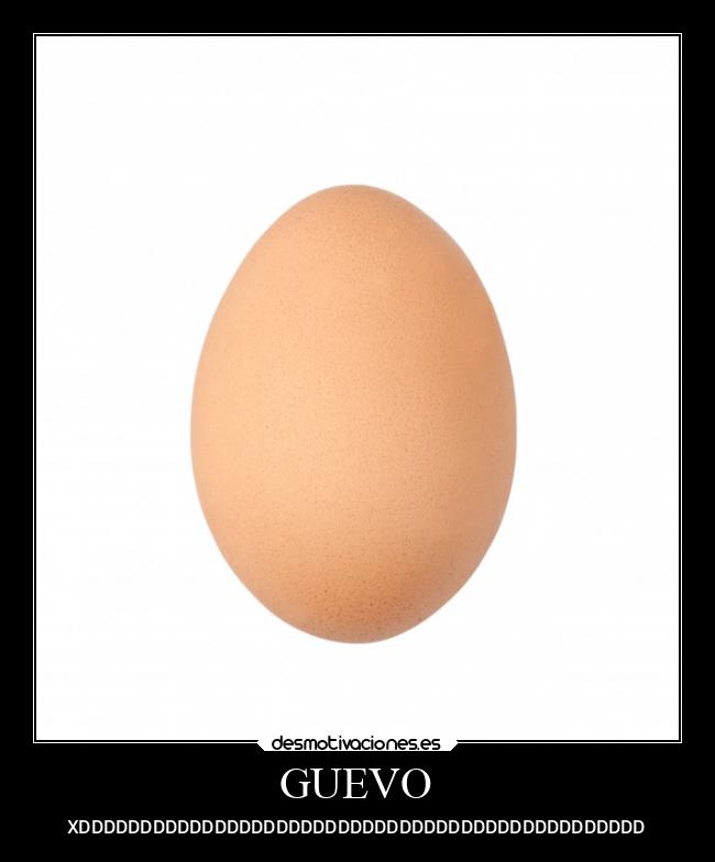 GUEVO - XDDDDDDDDDDDDDDDDDDDDDDDDDDDDDDDDDDDDDDDDDDDDDD