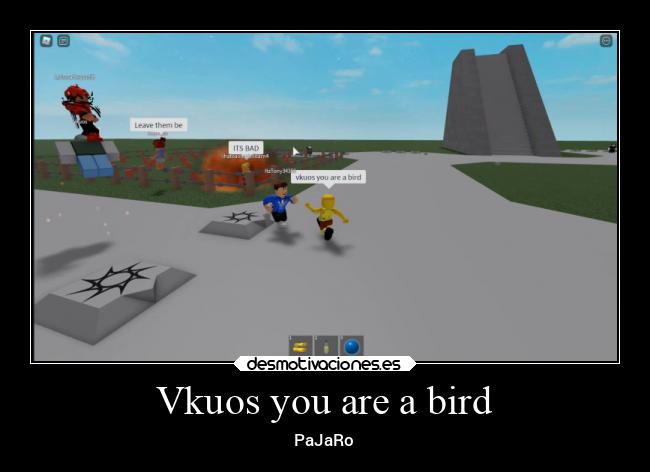 Vkuos you are a bird - PaJaRo