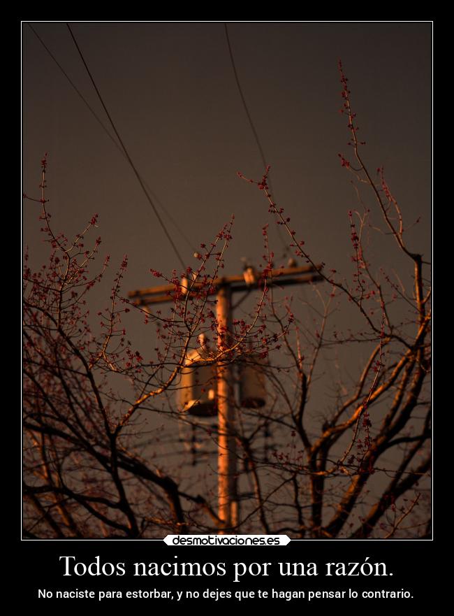 Todos nacimos por una razón. -