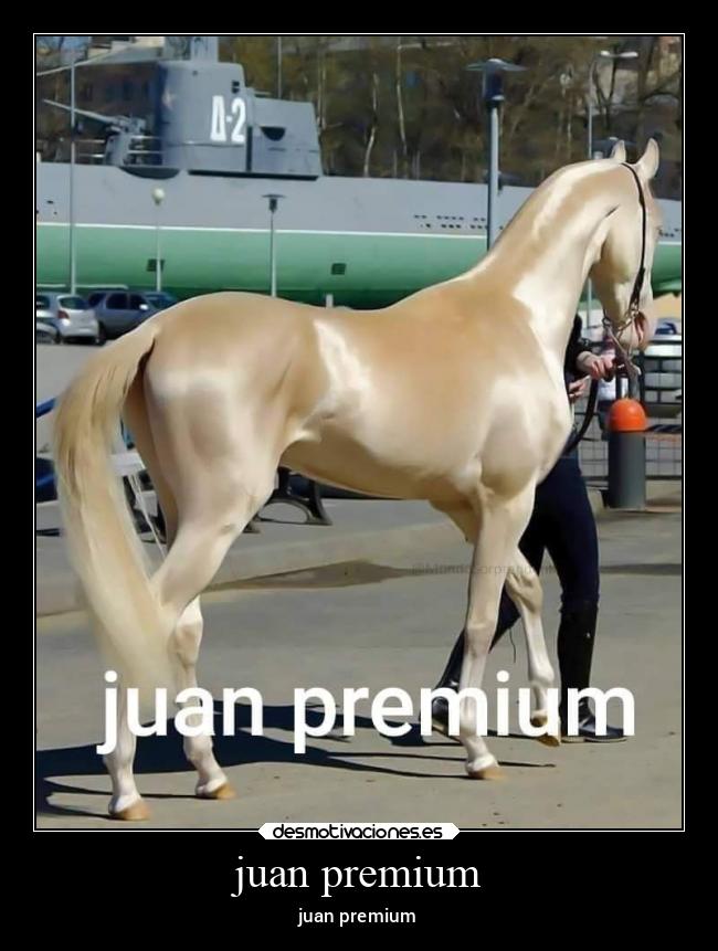 juan premium - juan premium